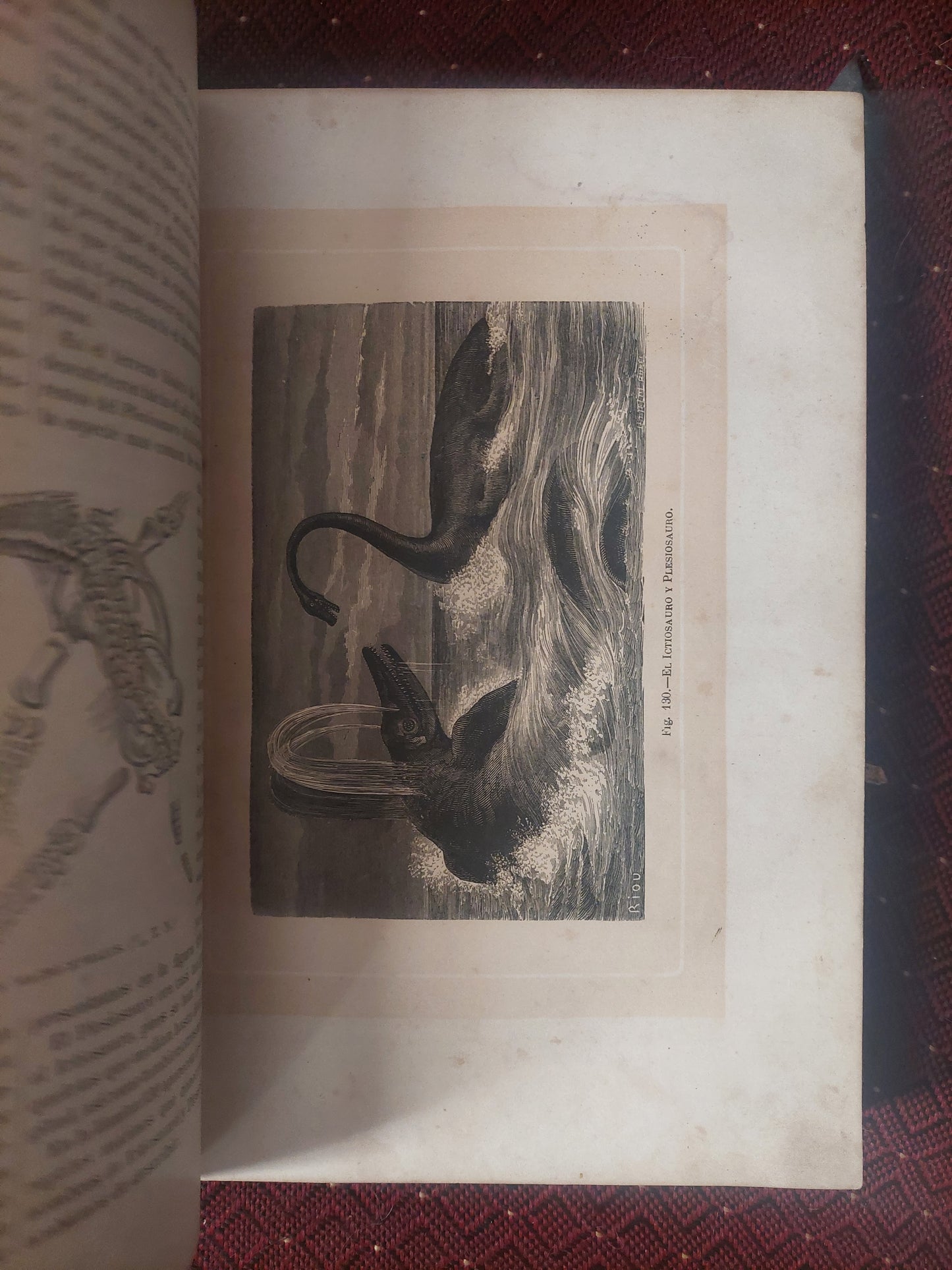 El mundo antes de la creacion del hombre - Figuier y Zimmermann (1872)