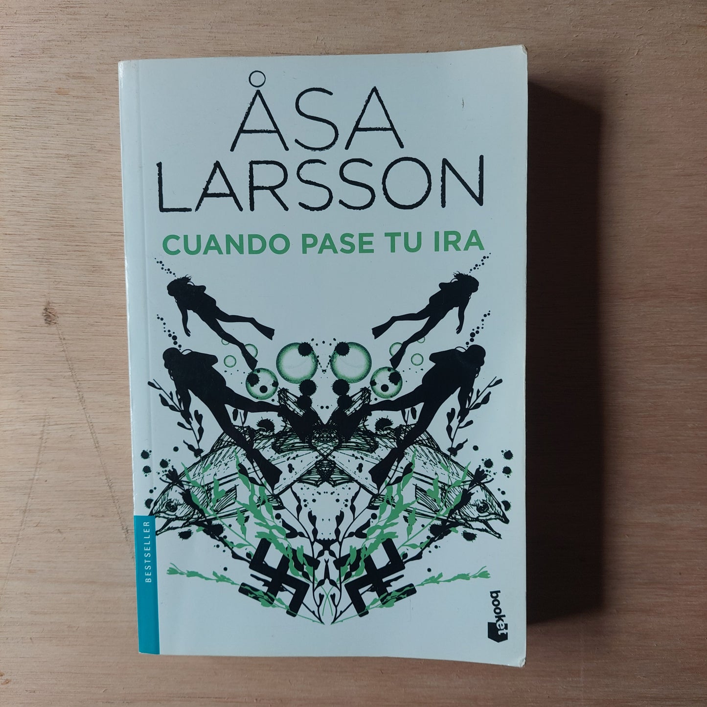 Cuando pase tu ira - Asa Larsson