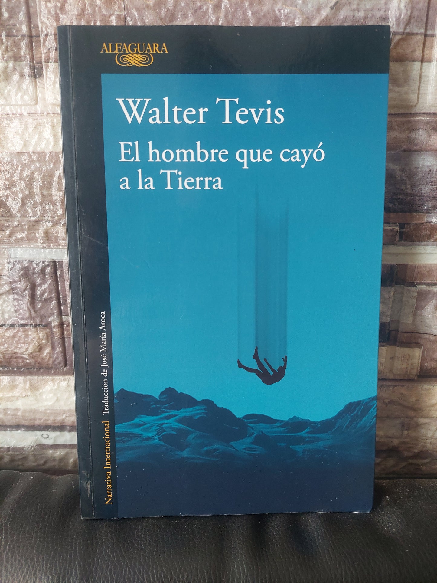 El hombre que cayó a la tierra - Walter Tevis