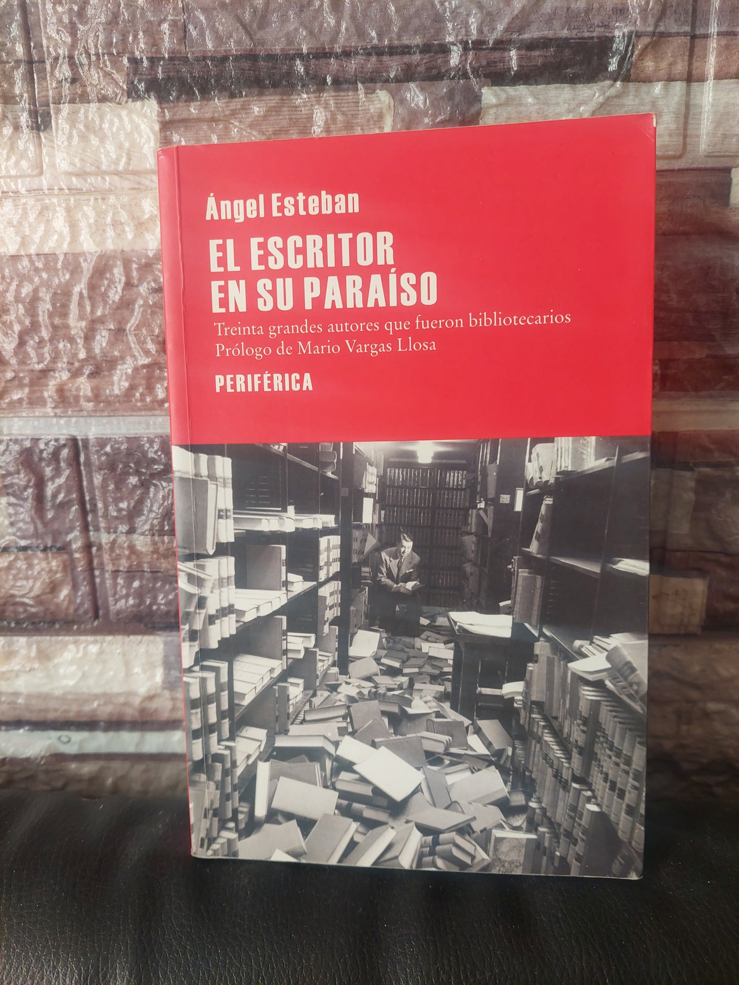 El escritor en su paraíso - Ángel Esteban