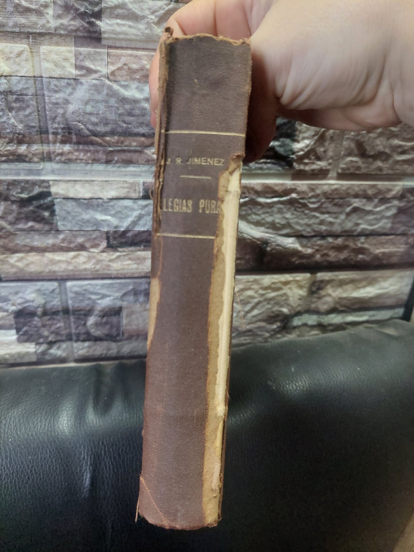 Elegías puras - Juan Ramón Jimenez. Primera edición, 1908