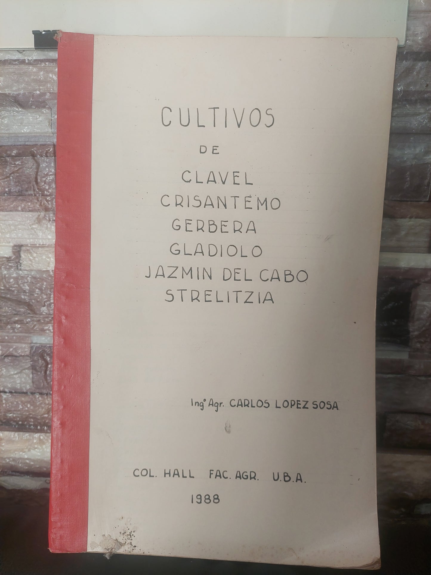 Cultivos de clavel, crisantemo, gerbera, gladiolo, jazmín del cabo, strelitzia - ING Agr Carlos López Sosa