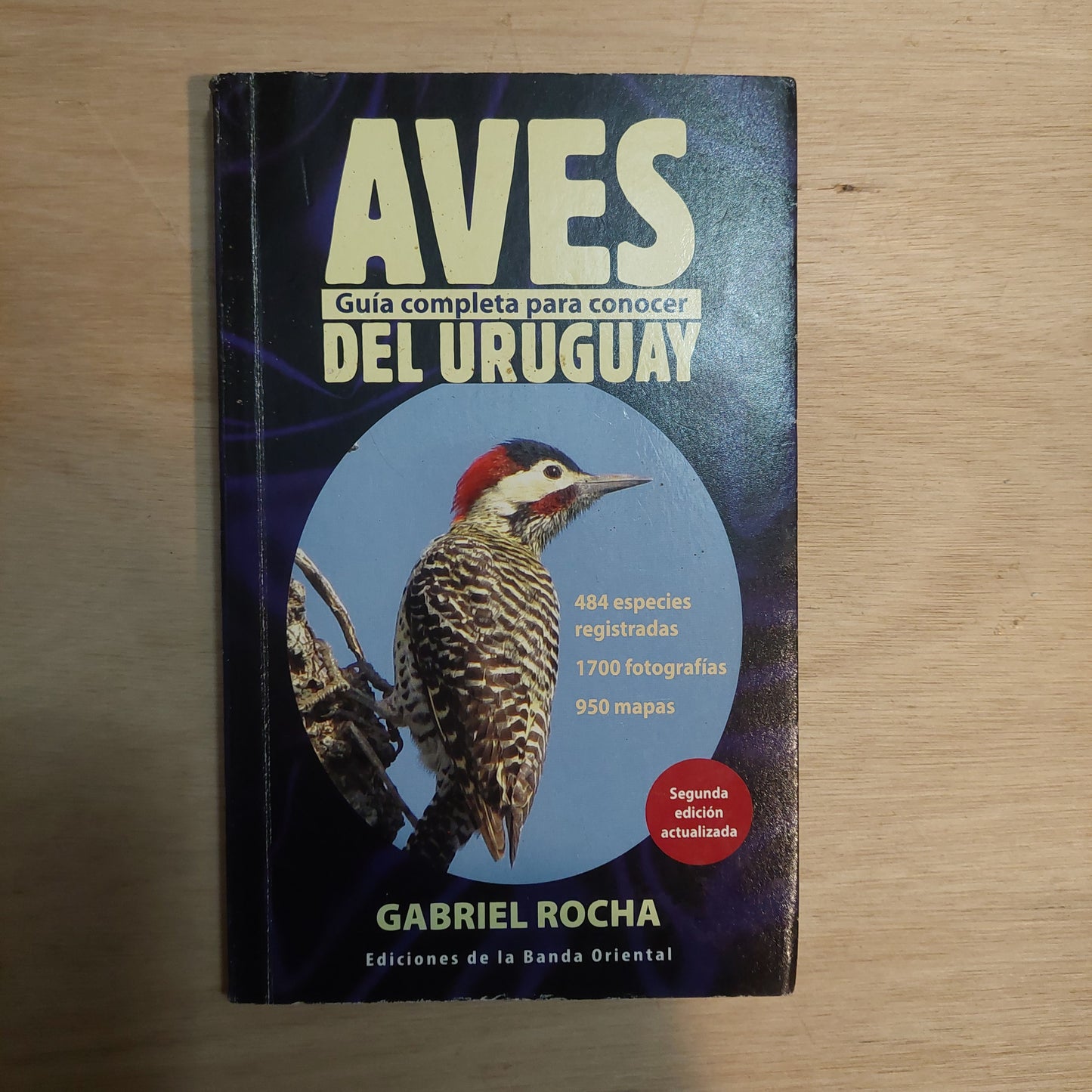 Aves del Uruguay - Gabriel Rocha