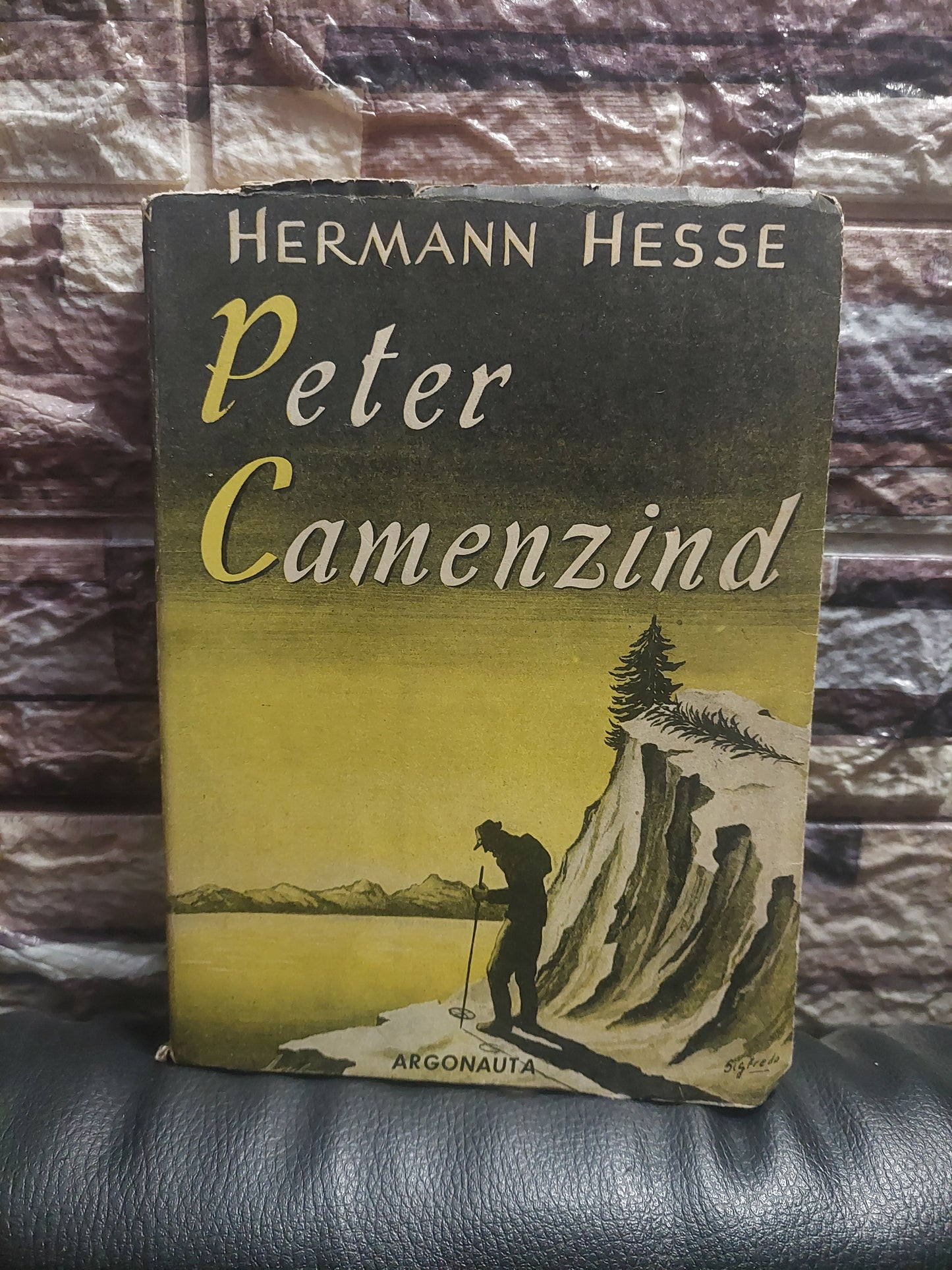 Peter Camenzind - Hermann Hesse