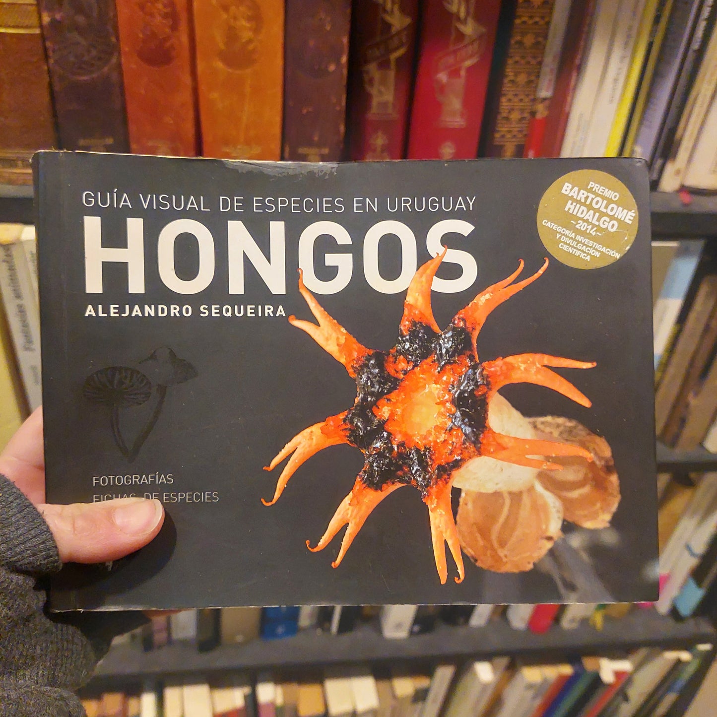 Hongos - Alejandro Sequeira