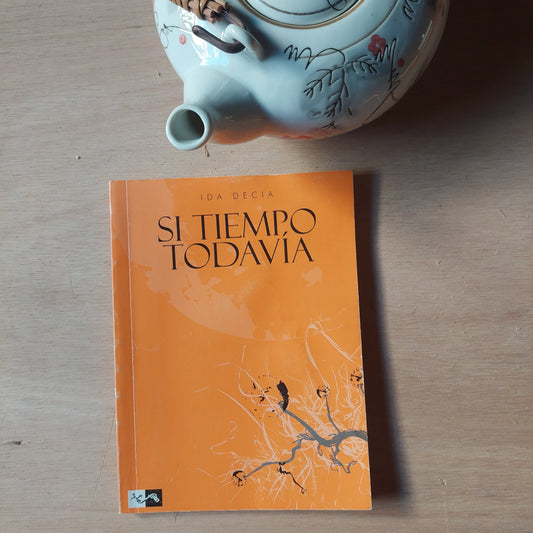 Si tiempo todavía - Ida Decia