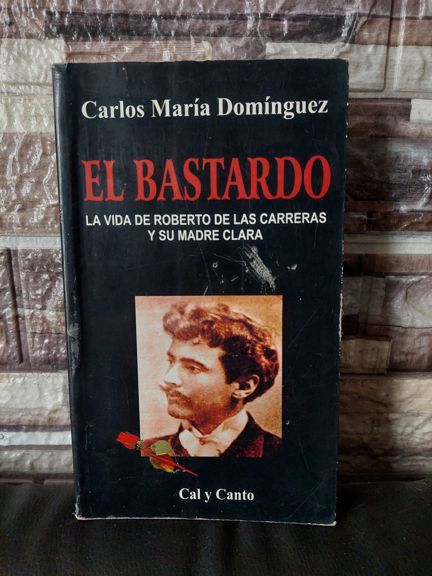 El bastardo. La vida de Roberto de las Carreras y su madre Clara - Carlos Maria Dominguez
