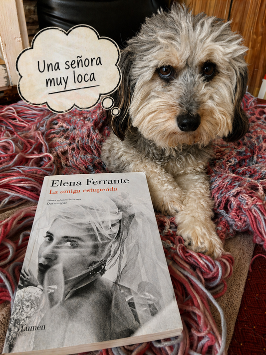 La amiga estupenda - Elena Ferrante