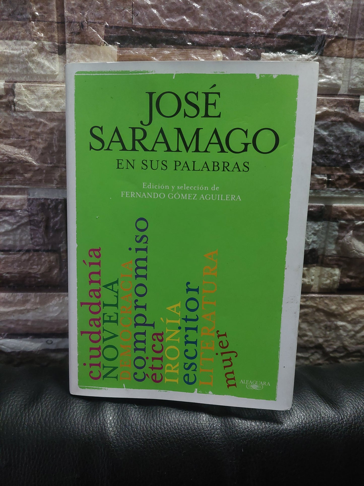 José Saramago en sus palabras