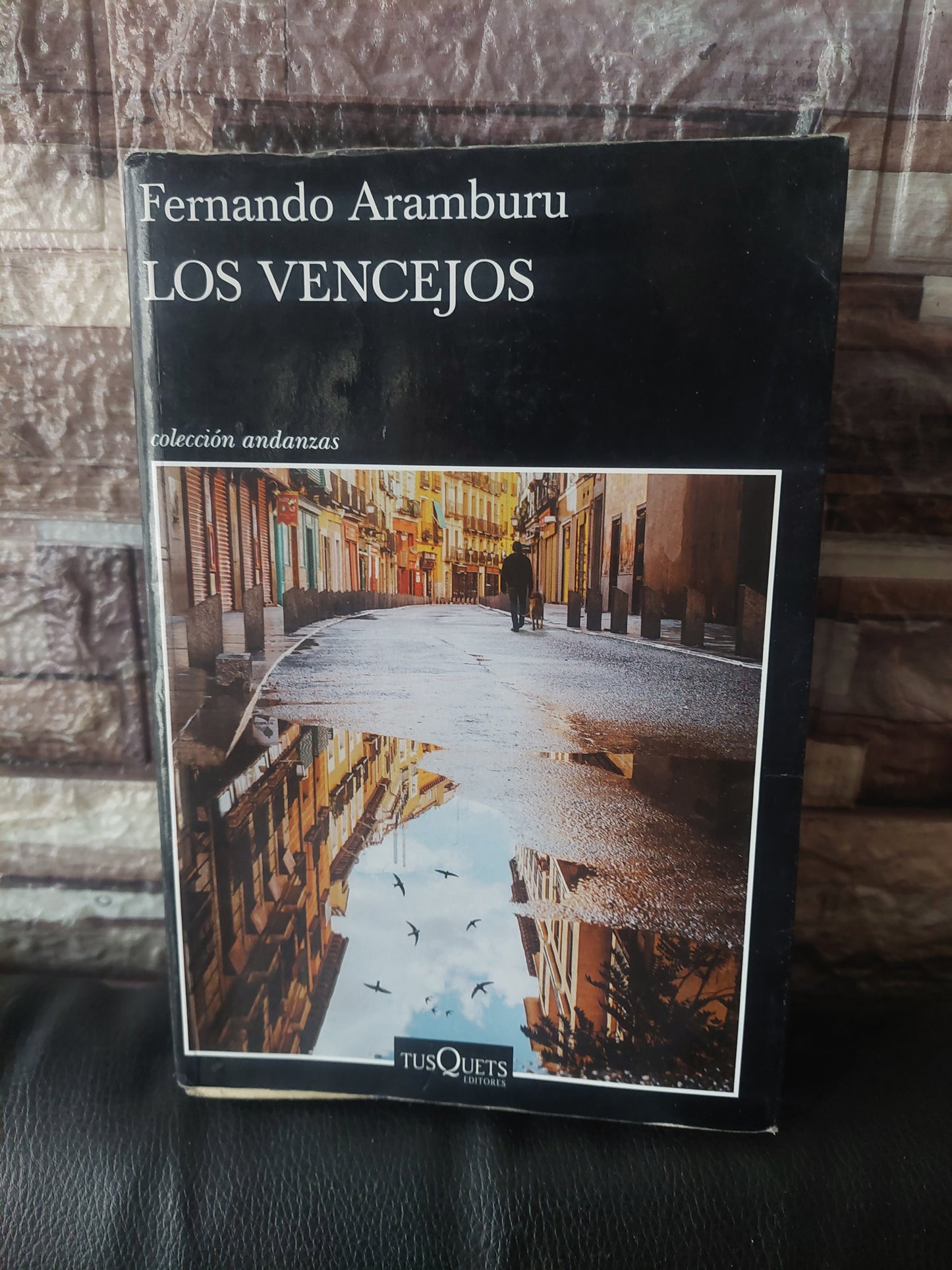 Los vencejos - Fernando Aramburu (restaurado)