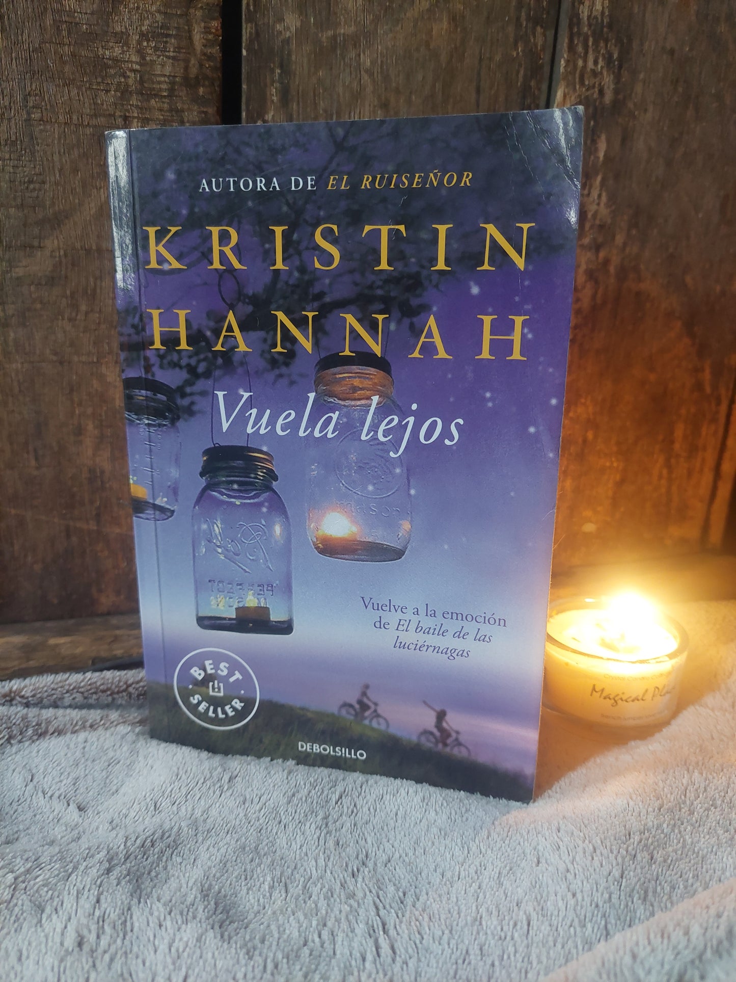 Vuela lejos - Kristin Hannah