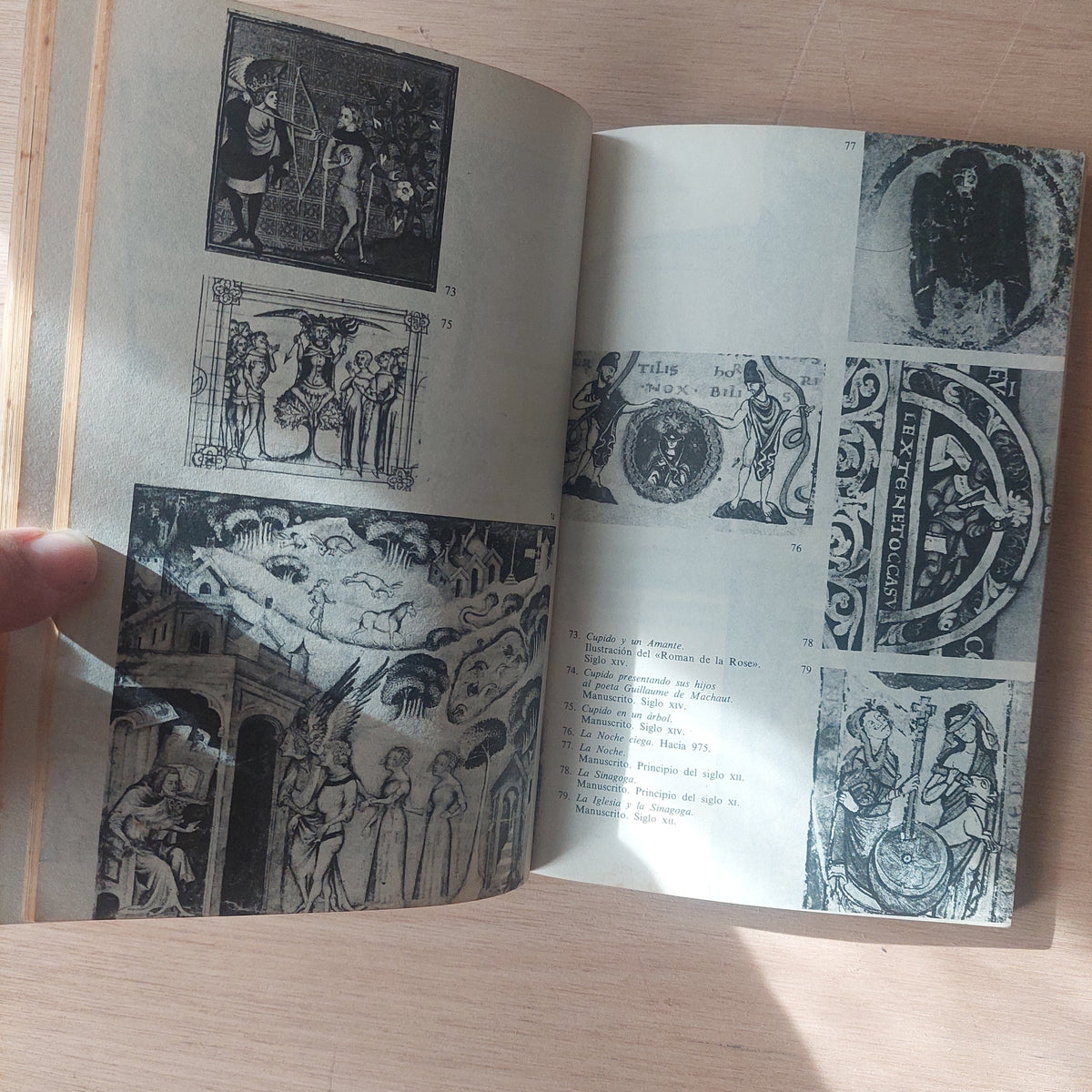 Estudios sobre iconología - Erwin Panofsky