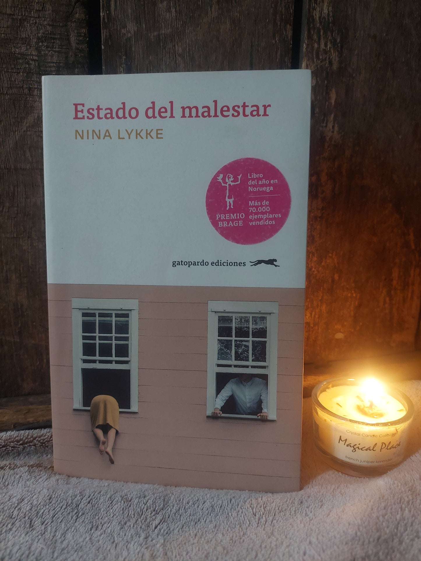 Estado de malestar - Nina Lykke