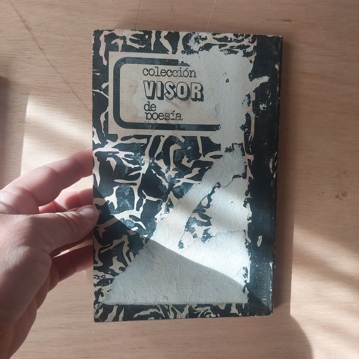 Poemas Mayakovsky (detalles de humedad)