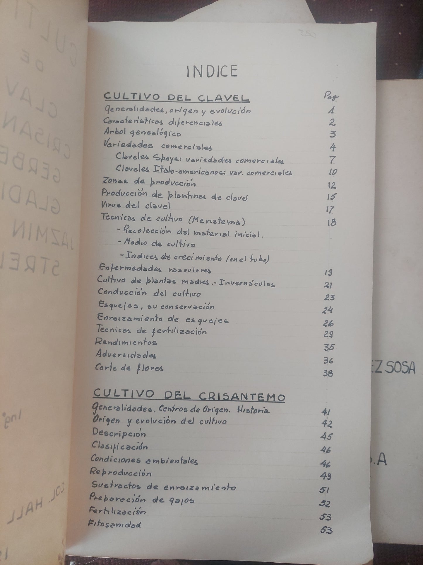 Cultivos de clavel, crisantemo, gerbera, gladiolo, jazmín del cabo, strelitzia - ING Agr Carlos López Sosa