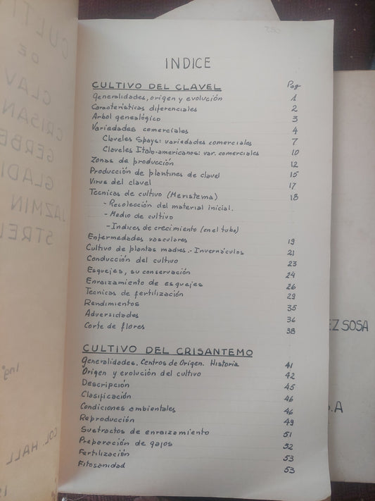 Cultivos de clavel, crisantemo, gerbera, gladiolo, jazmín del cabo, strelitzia - ING Agr Carlos López Sosa