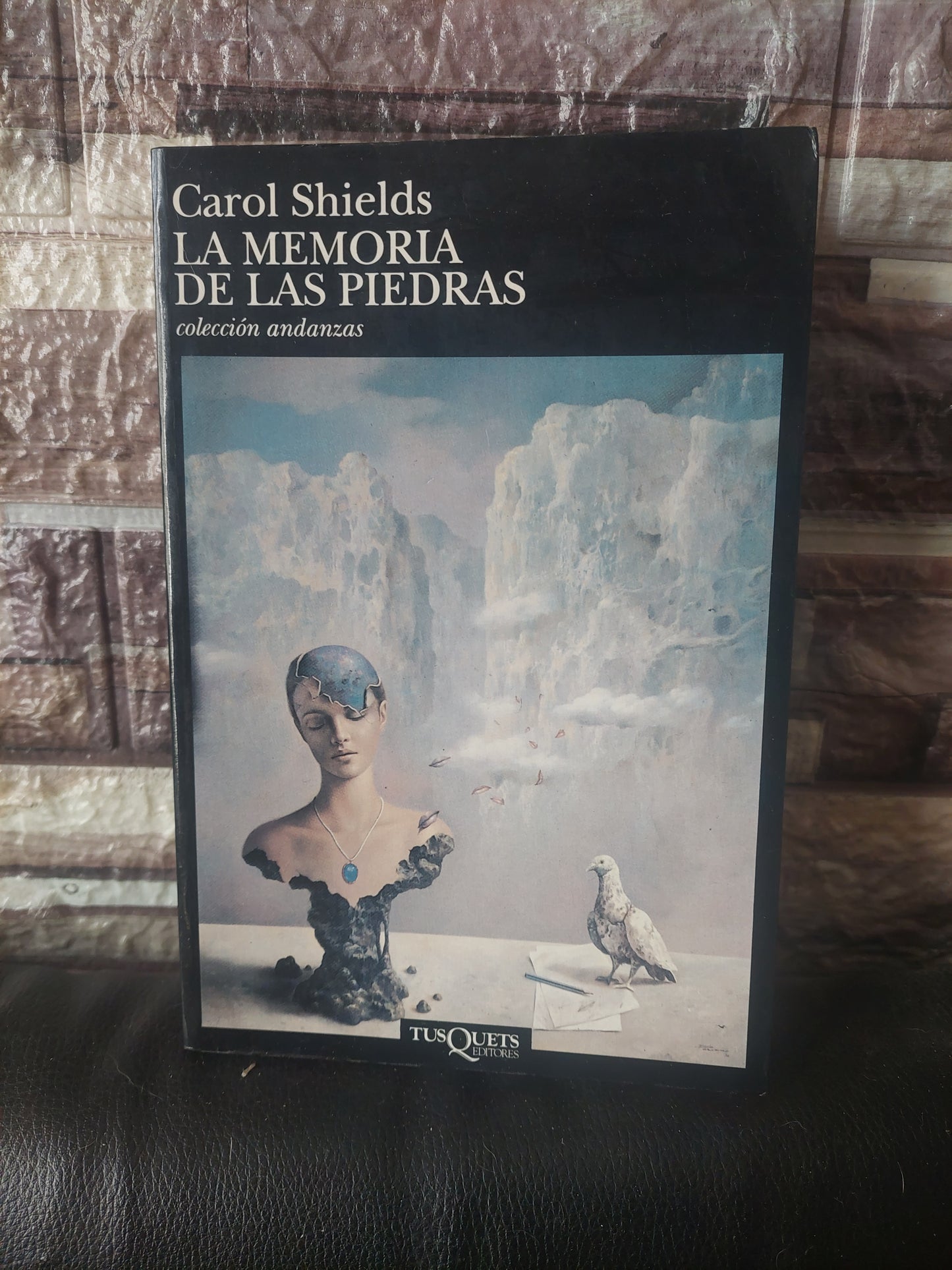 La memoria de las piedras - Carol Shields