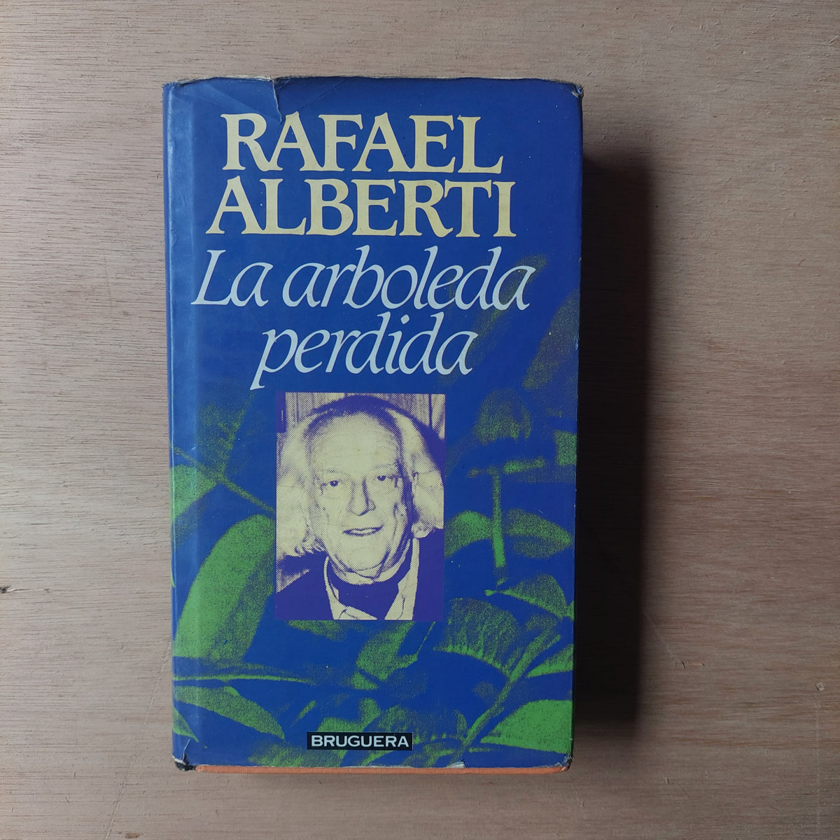 La arboleda perdida - Rafael Alberti (algunos subrayados con flúor)