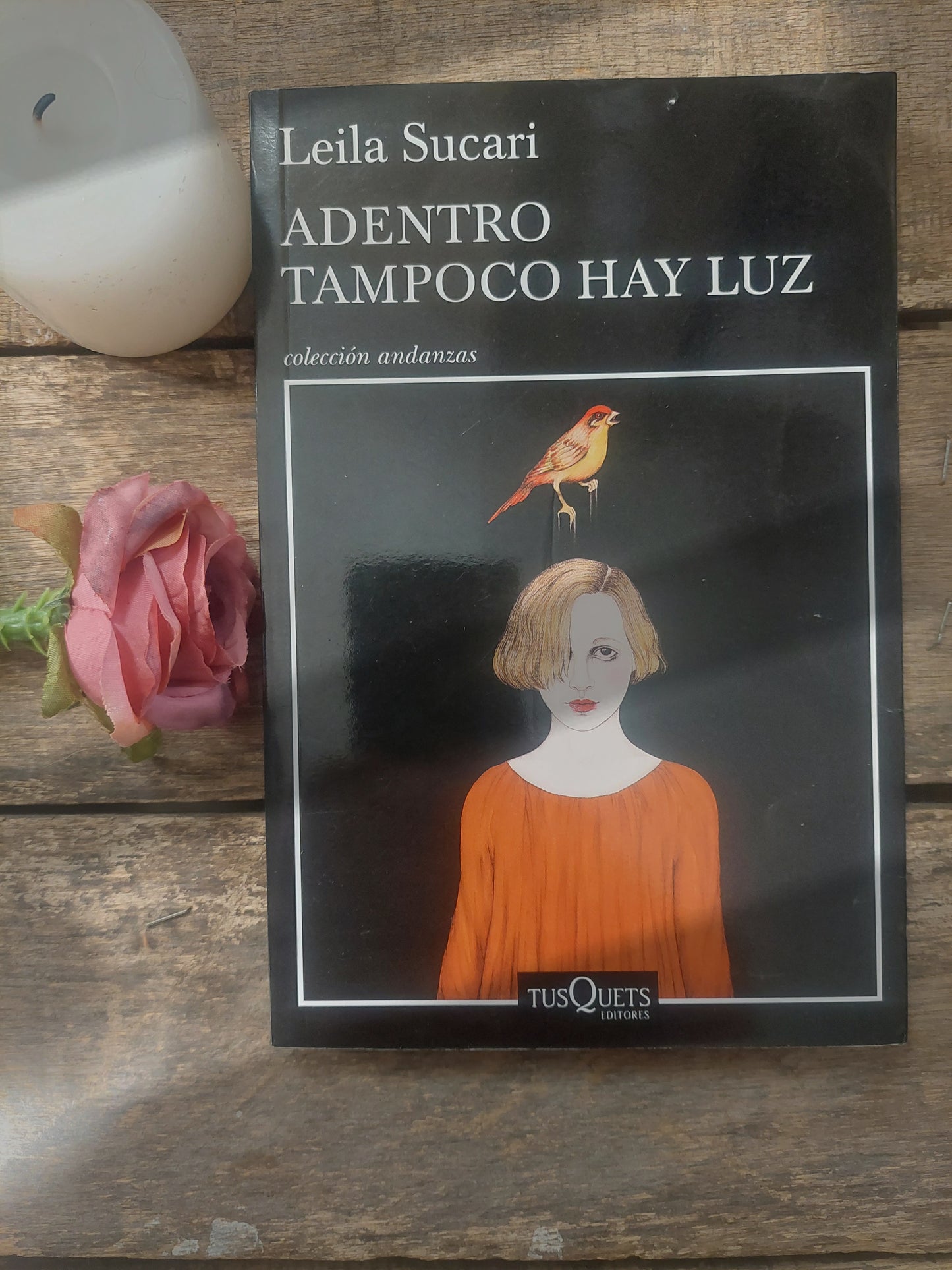 Adentro tampoco hay luz - Leila Sucari (nuevo)
