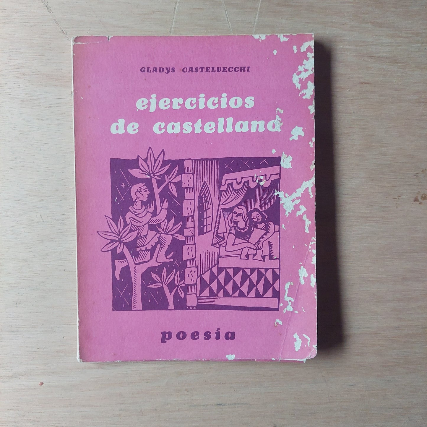 Ejercicios de castellano - Gladys Castelvecchi (dedicado por la autora)