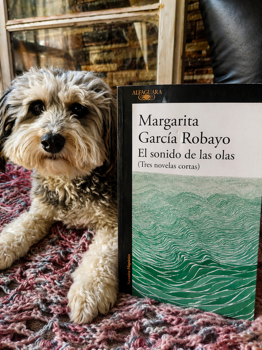 El sonido de las olas - Margarita García Robayo