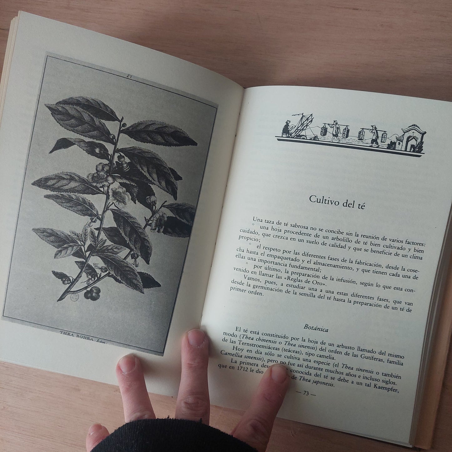 El libro del amante del té