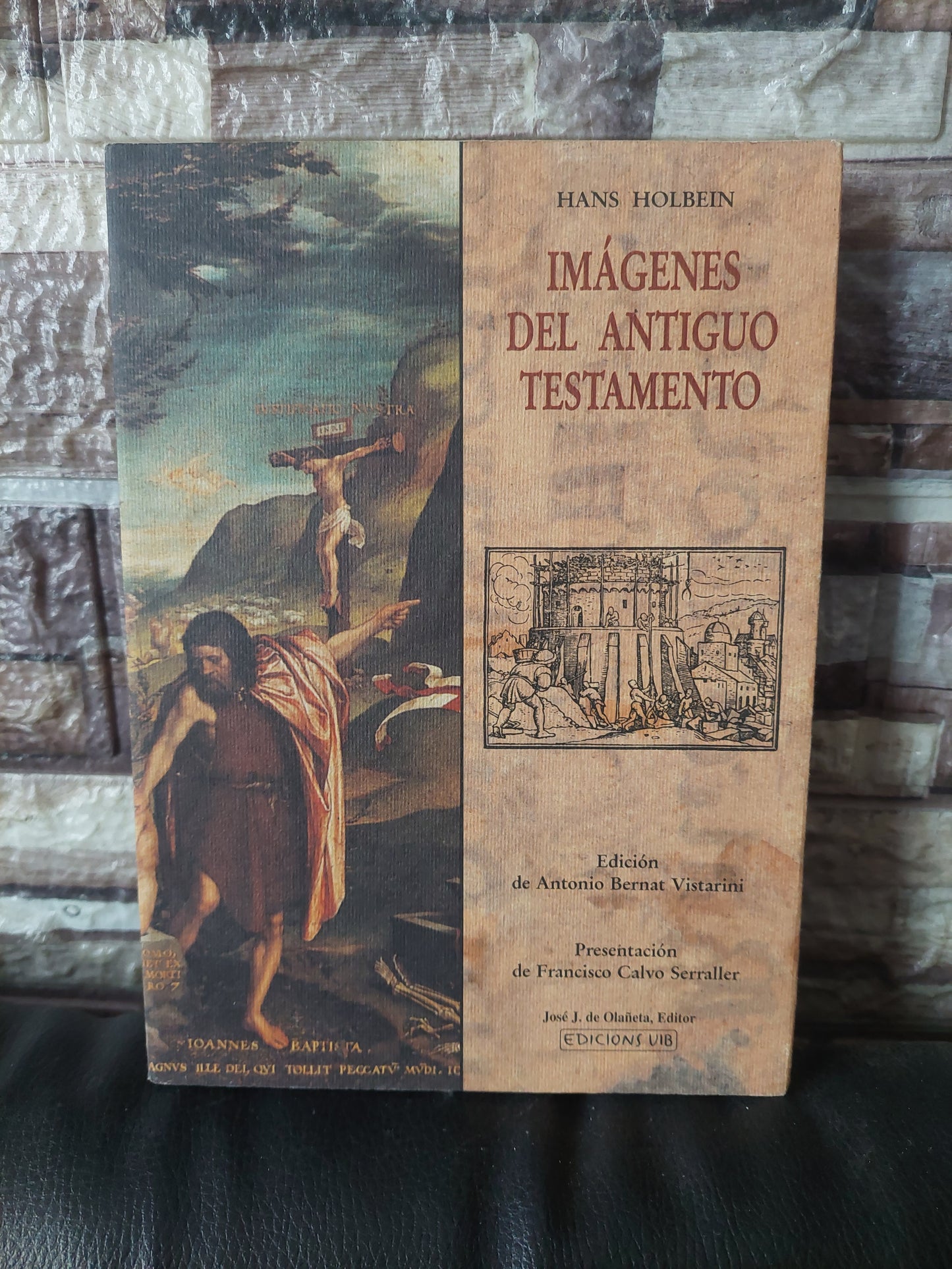 Imágenes del antiguo testamento - Hans Holbein