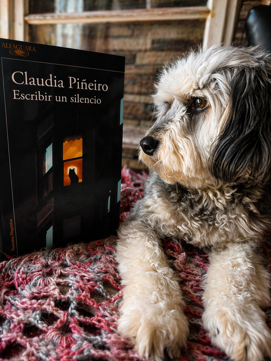 Escribir un silencio - Claudia Piñeiro