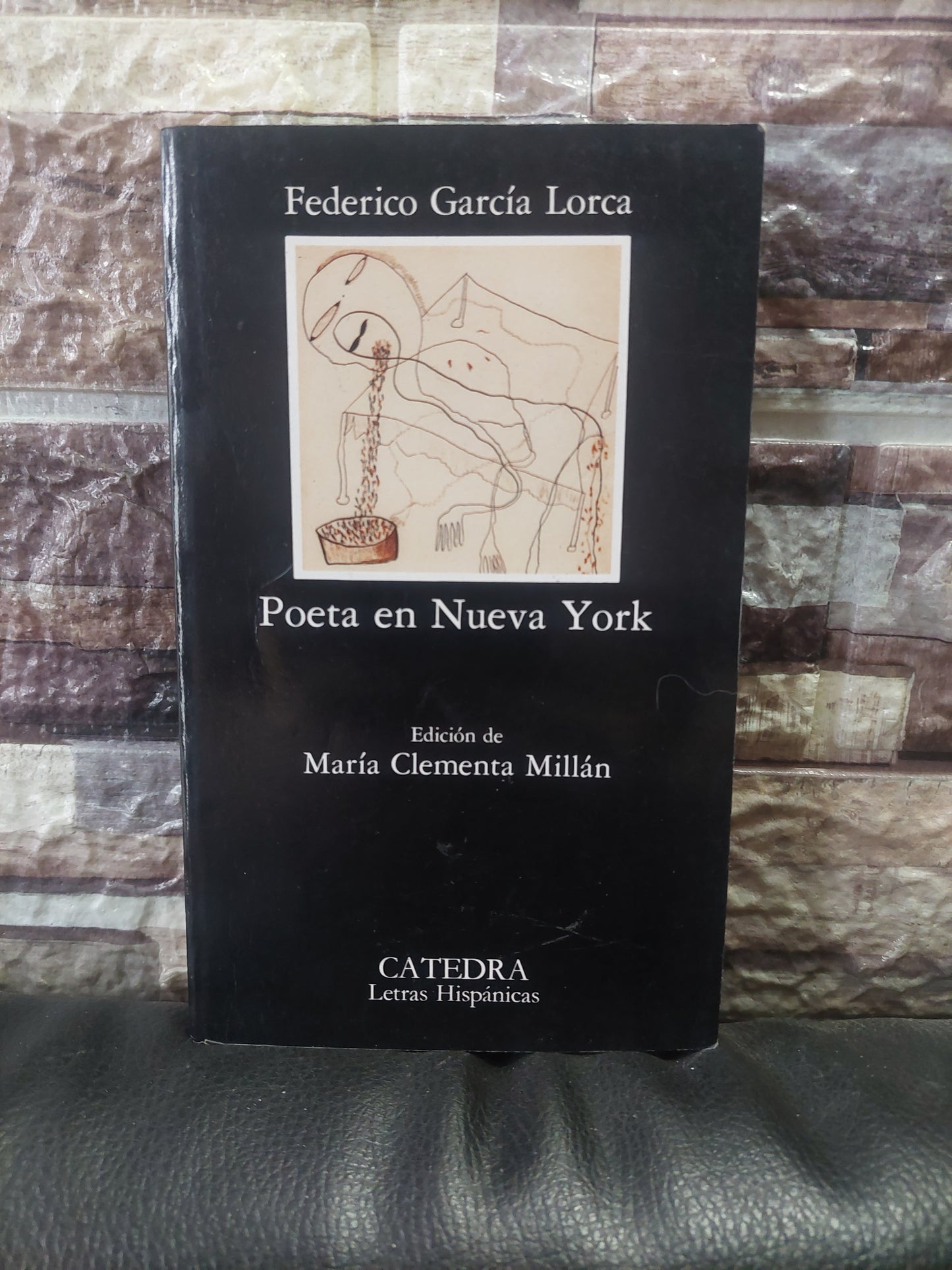 Poeta en Nueva York - Federico García Lorca