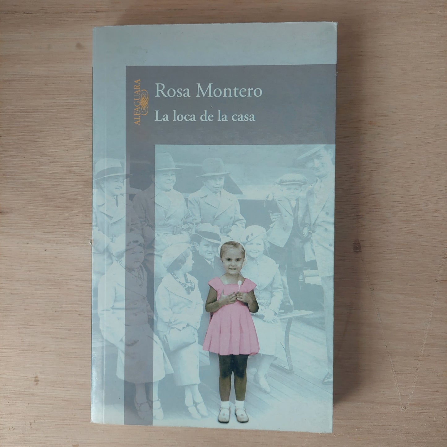 La loca de la casa - Rosa Montero