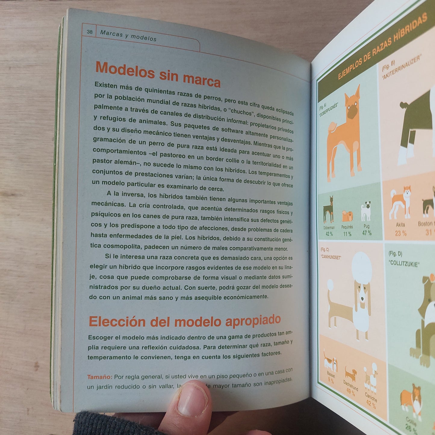 Perros. Manual de usuario - Brunner y Stall