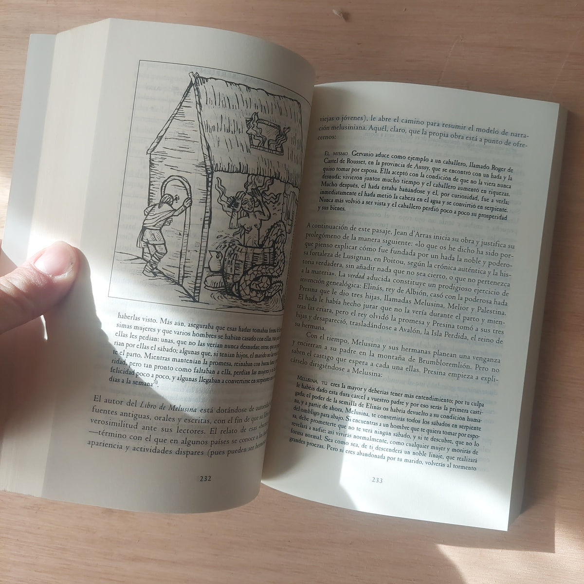 El gran libro de las brujas - Rafael M. Mérida Jiménez