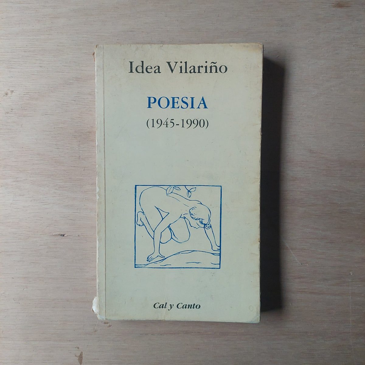 Poesía 1945-1990 - Idea Vilariño