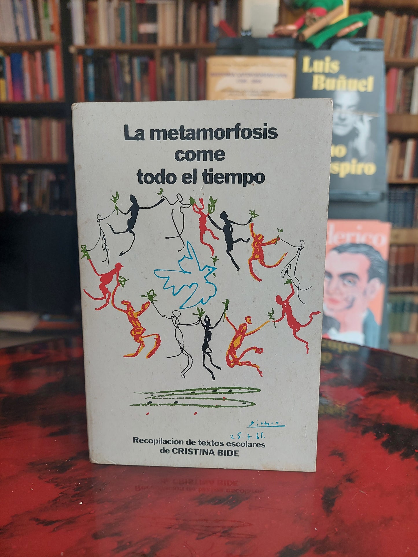 La metamorfosis come todo el tiempo - Cristina Bide