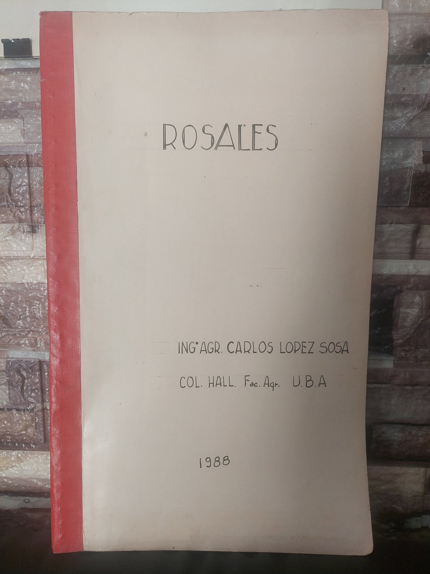 Rosales - ING Agr Carlos López Sosa
