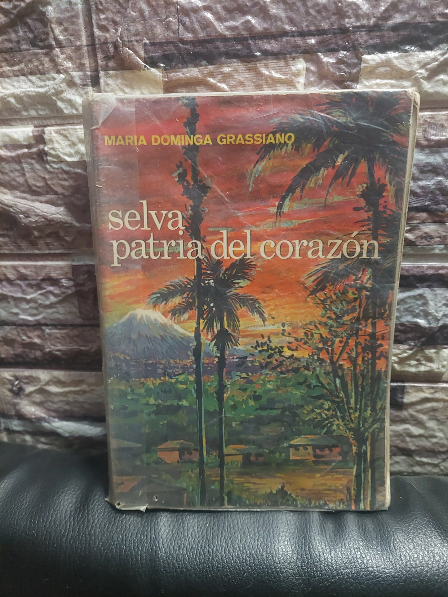 Selva, patria del corazón - Maria Dominga Grassiano