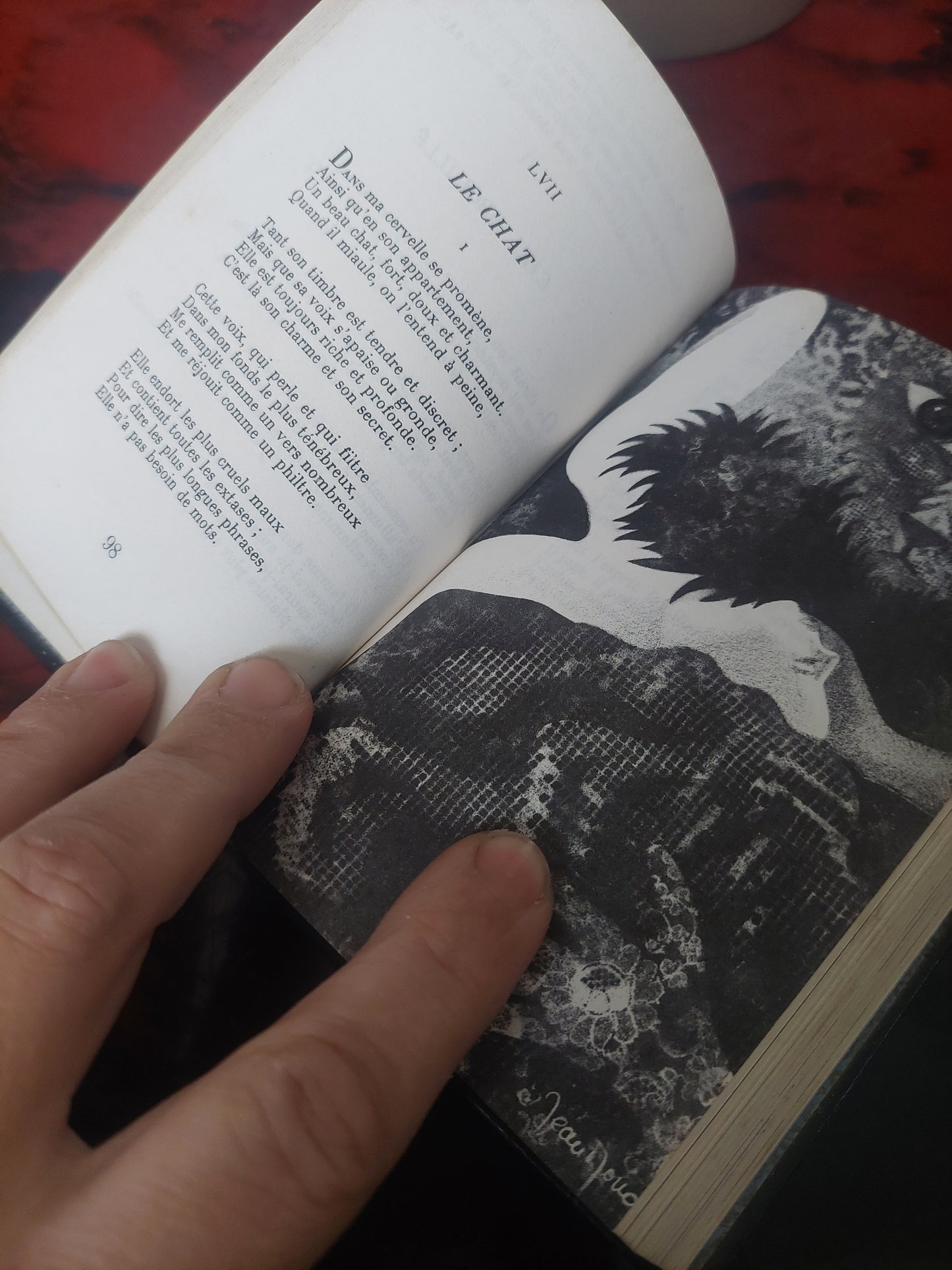 Les fleurs du mal - Charles Baudelaire