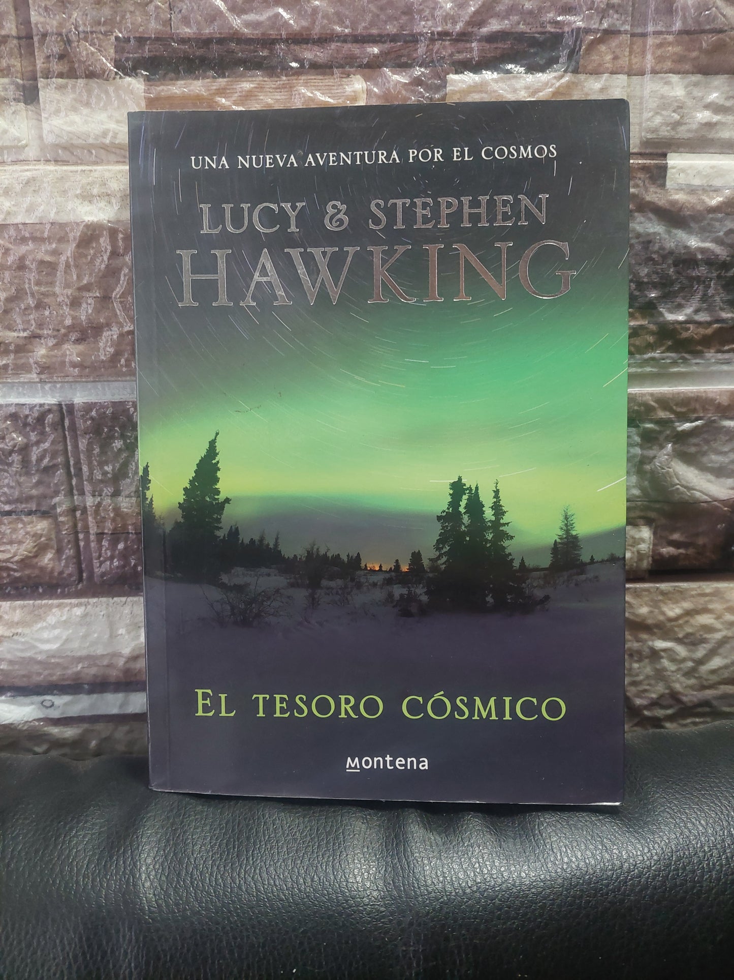 El tesoro cósmico - Lucy y Stephen Hawking