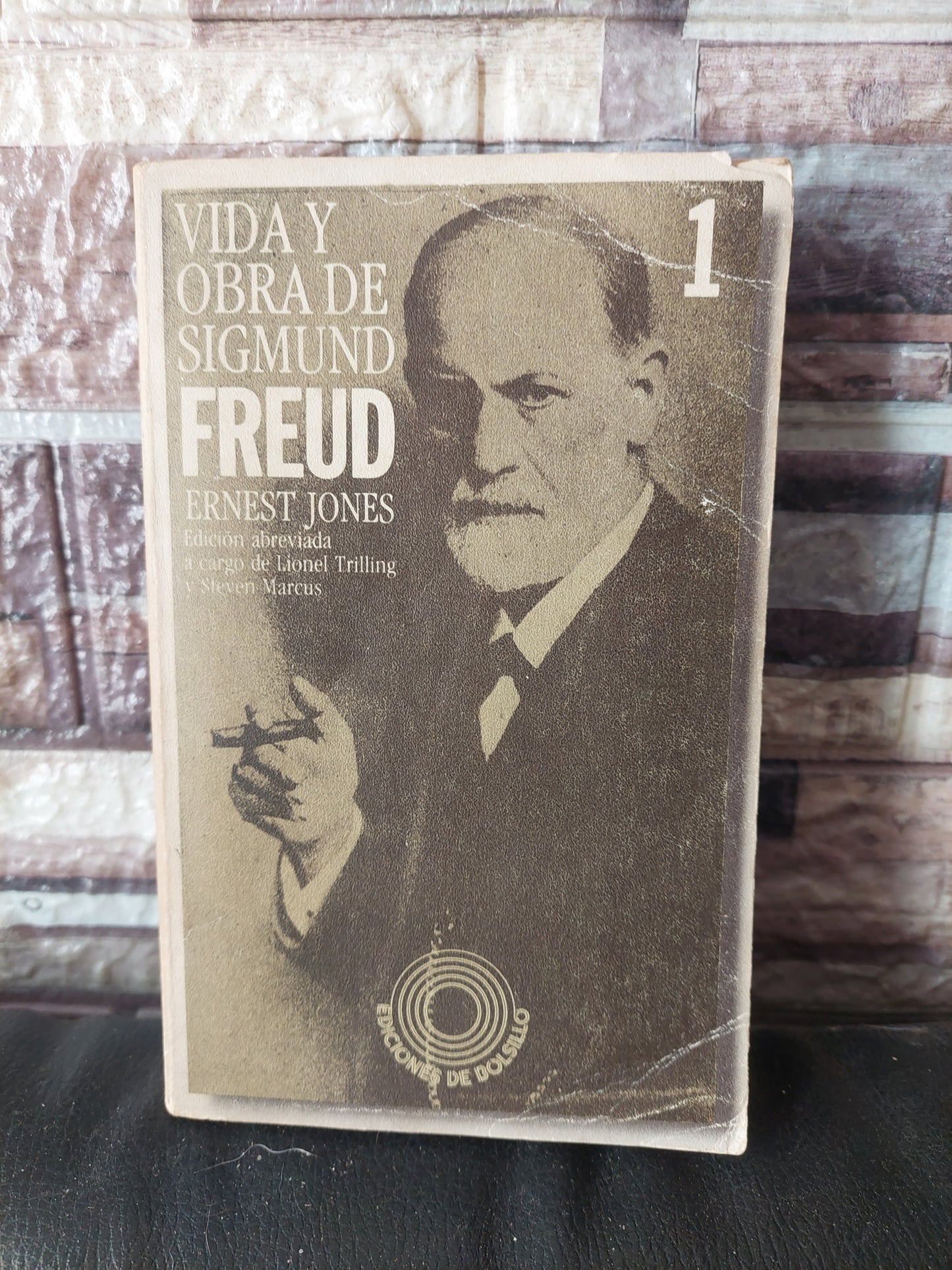 Vida y obra de Sigmund Freud tomo 1 - Ernest Jones