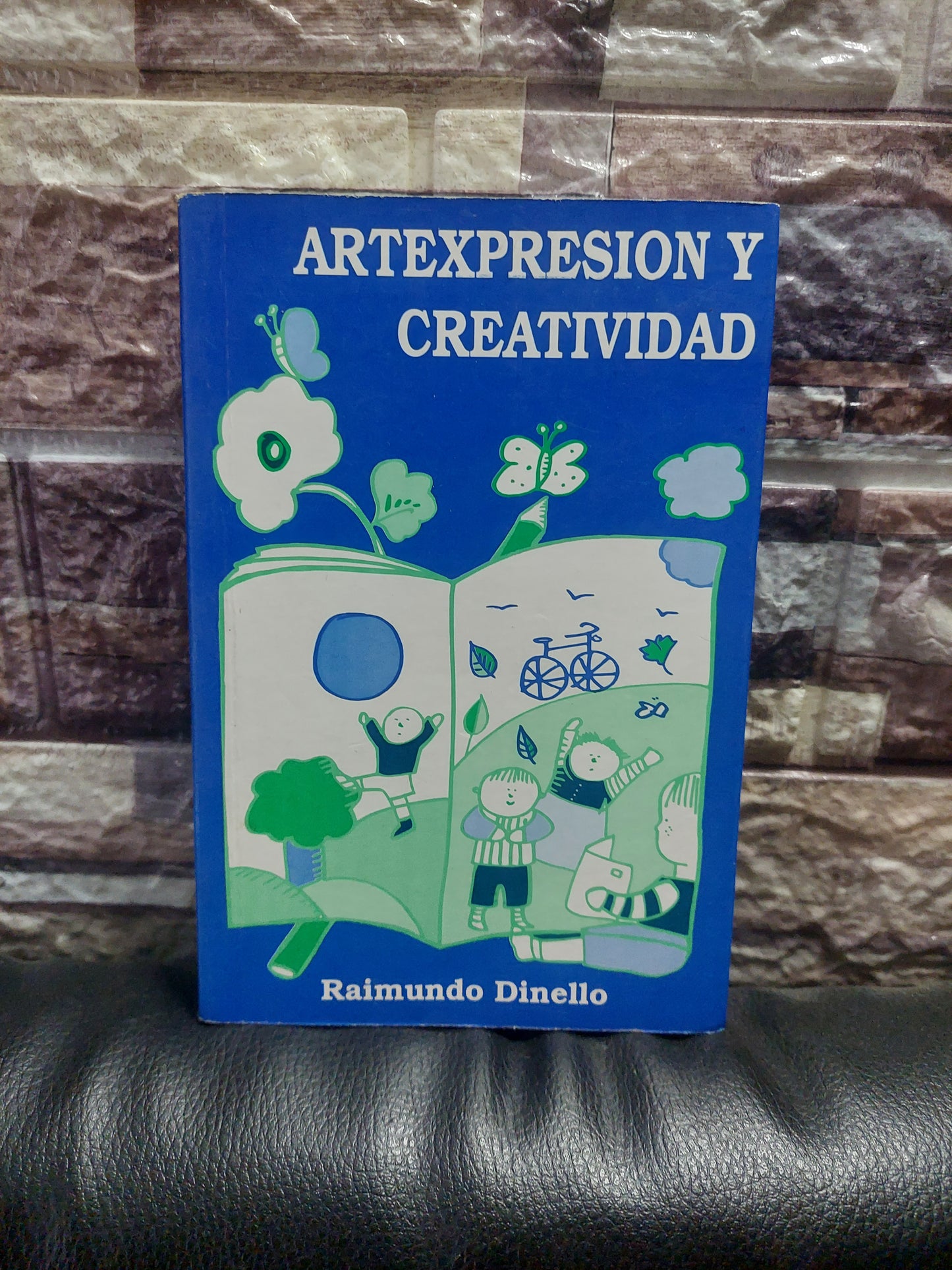 Artexpresion y creatividad - Raimundo Dinello