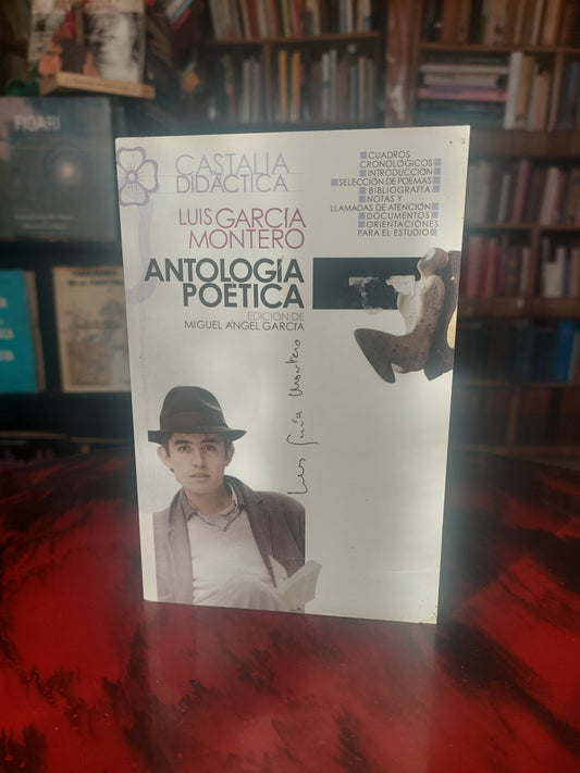 Antología poética Luis García Montero