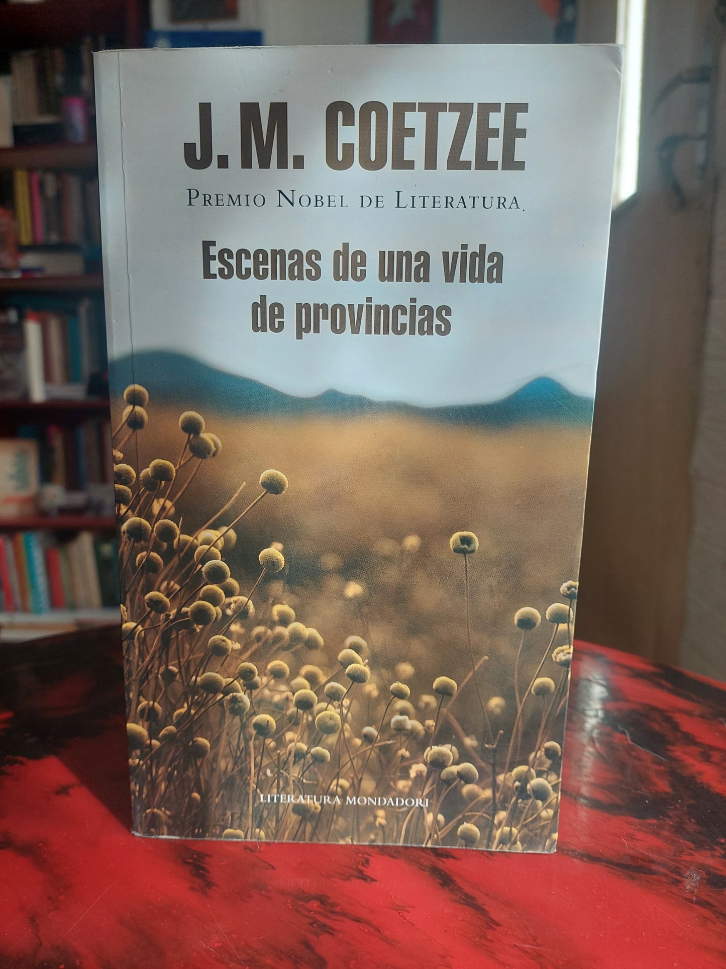 Escenas de una vida de provincias - J. M. Coetzee (nuevo)