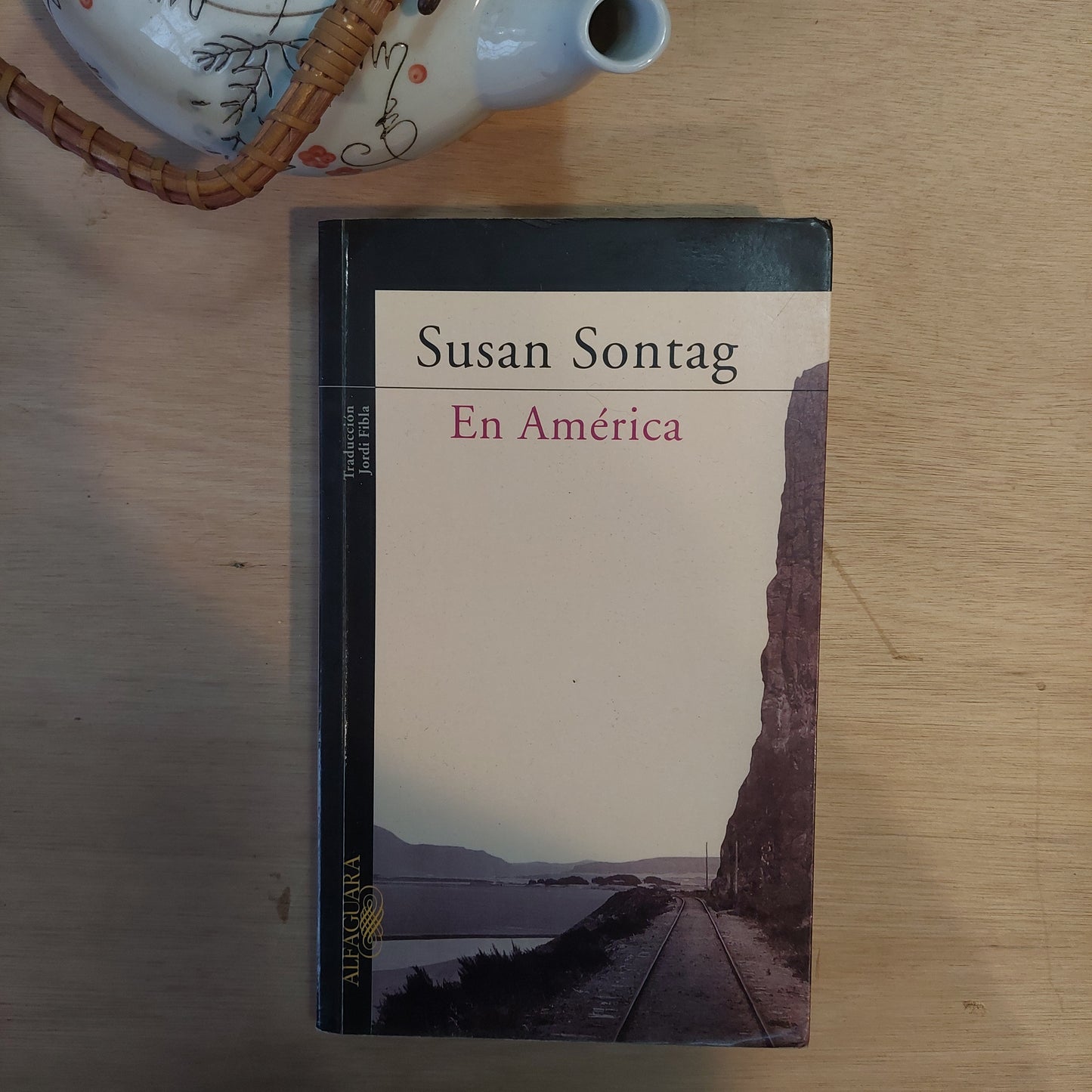 En América - Susan Sontag