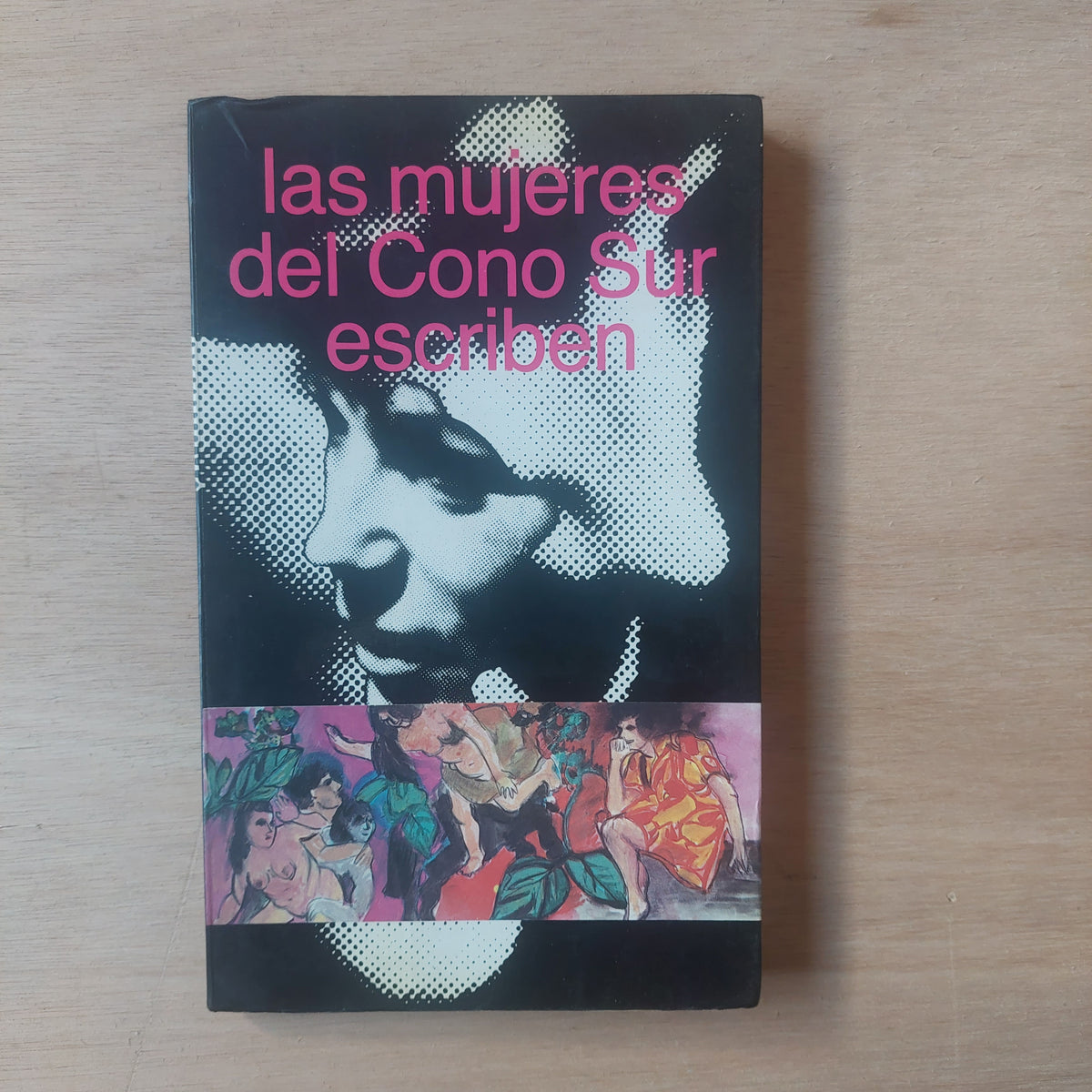Las mujeres del Cono Sur escriben