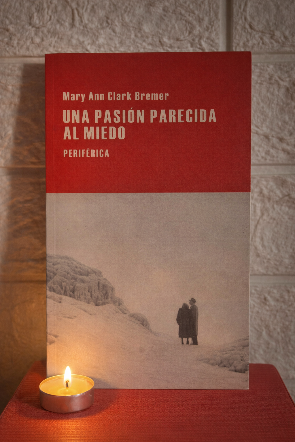 Una pasión parecida al miedo - Mary Ann Clark Bremer