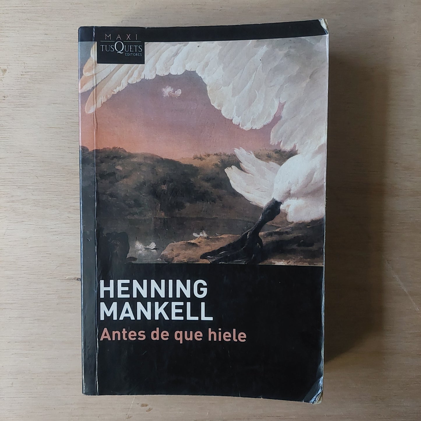 Antes de que hiele - Henning Mankell