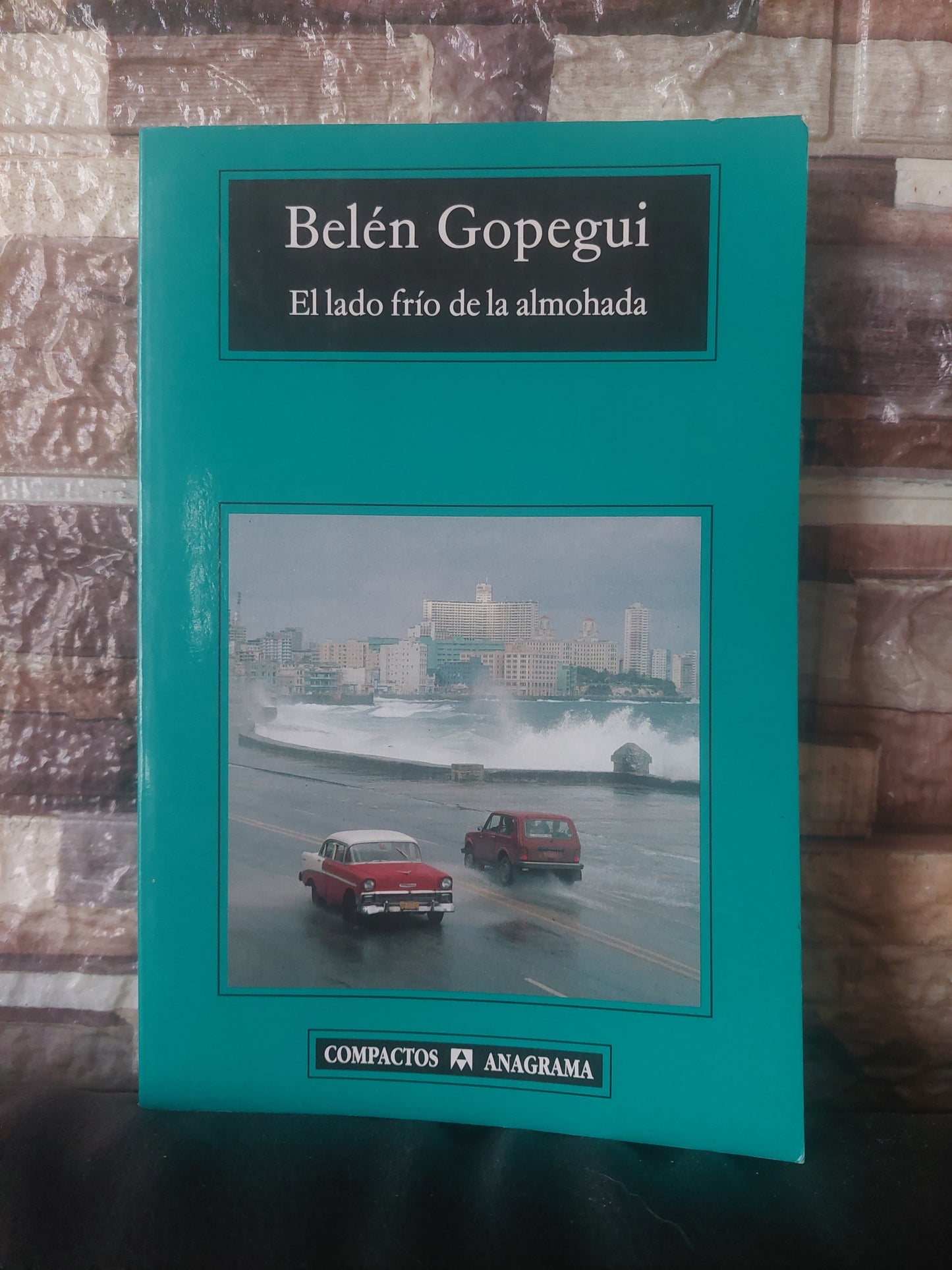 El lado frío de la almohada - Belén Gopegui