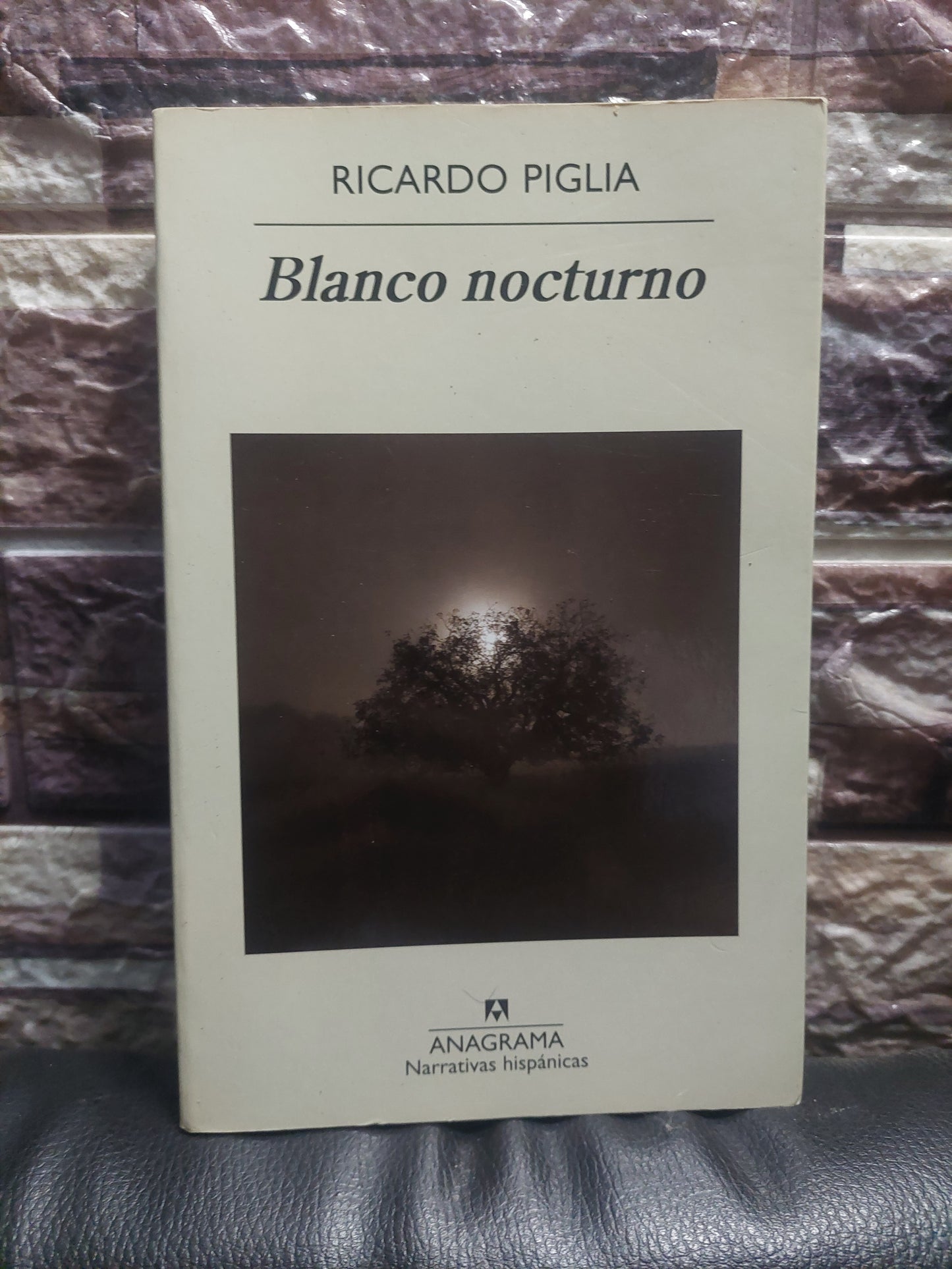 Blanco nocturno - Ricardo Piglia