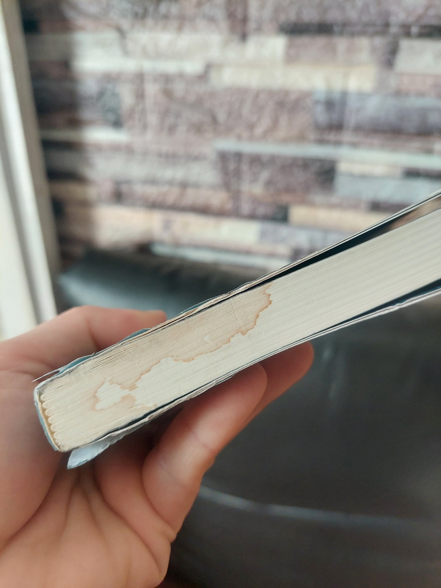 Momentos estelares de la humanidad - Stefan Zweig (con detalles)