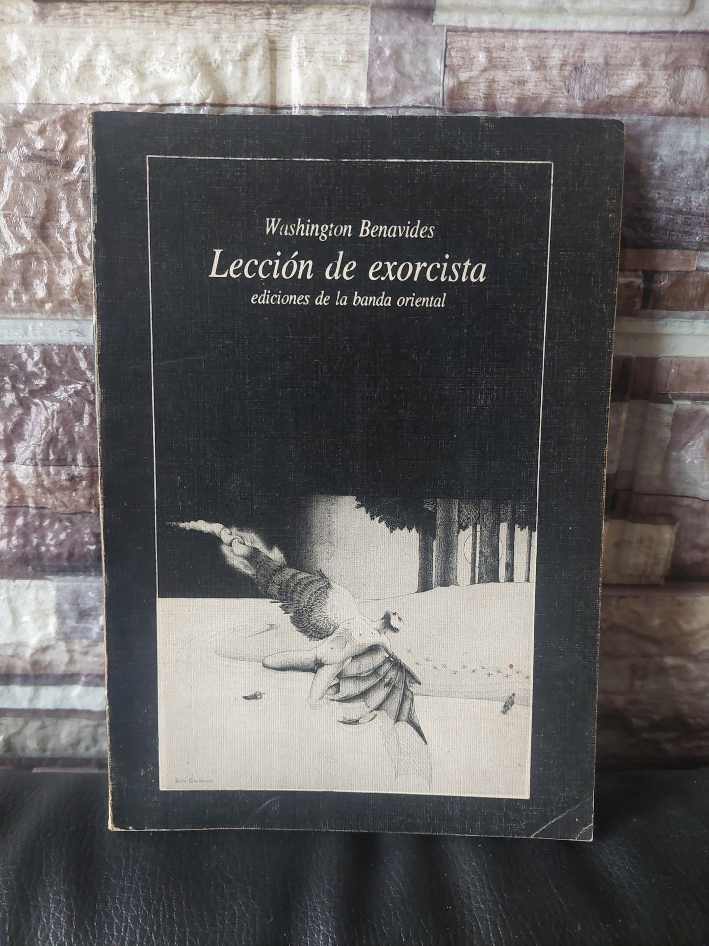 Lección de exorcista - Washington Benavides (firmado y dedicado por el autor)